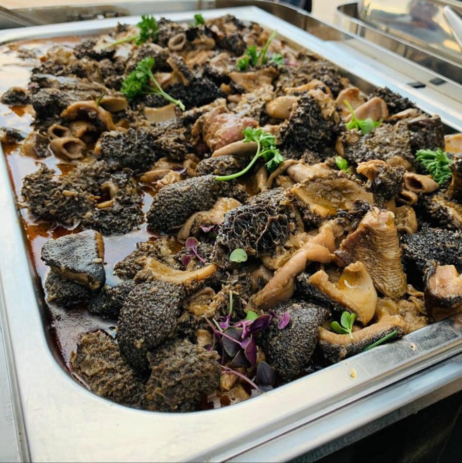 Mogodu